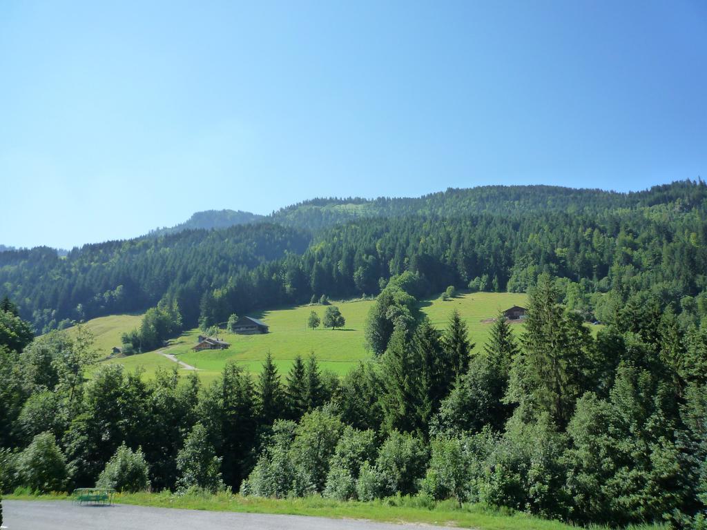 Aravis Locations Apartment Le Grand-Bornand Bagian luar foto